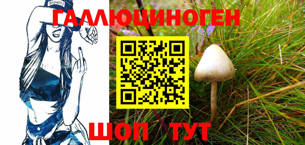 Псилоцибиновые грибы Psilocybine cubensis Воткинск